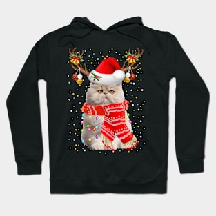 Persian Cat Christmas Hoodie